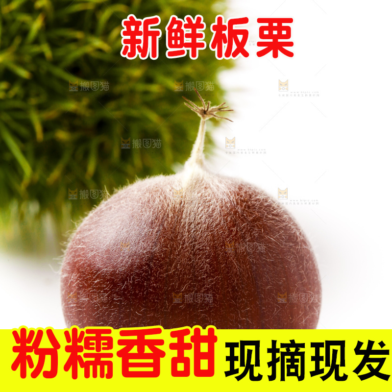 白底上放着迁西板栗