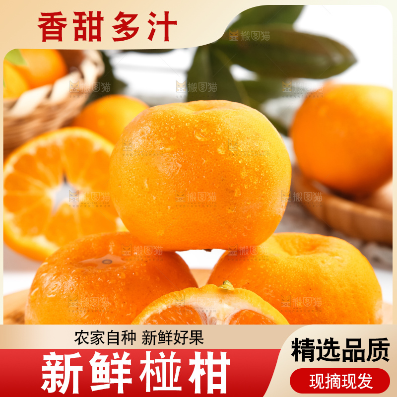 木板上放着广西椪柑