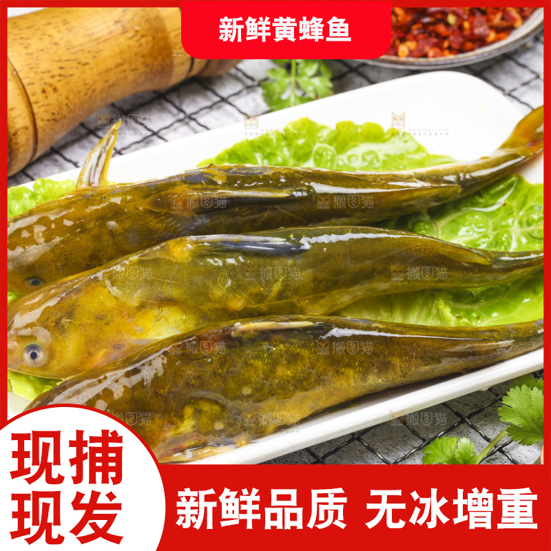 盘子里的生鲜黄蜂鱼