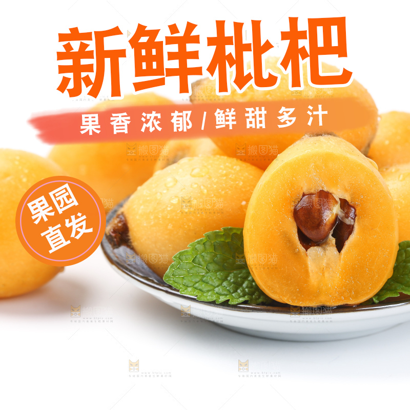 白底上的枇杷