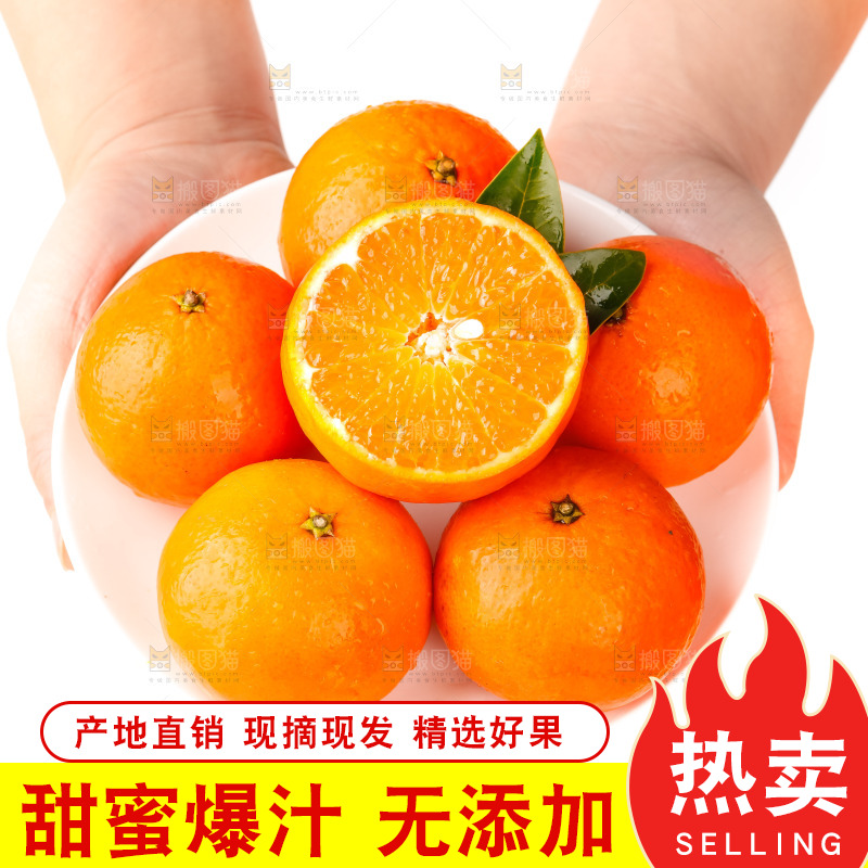 手里拿着新鲜沃柑