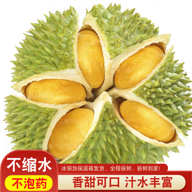 白底上放着泰国金枕榴莲