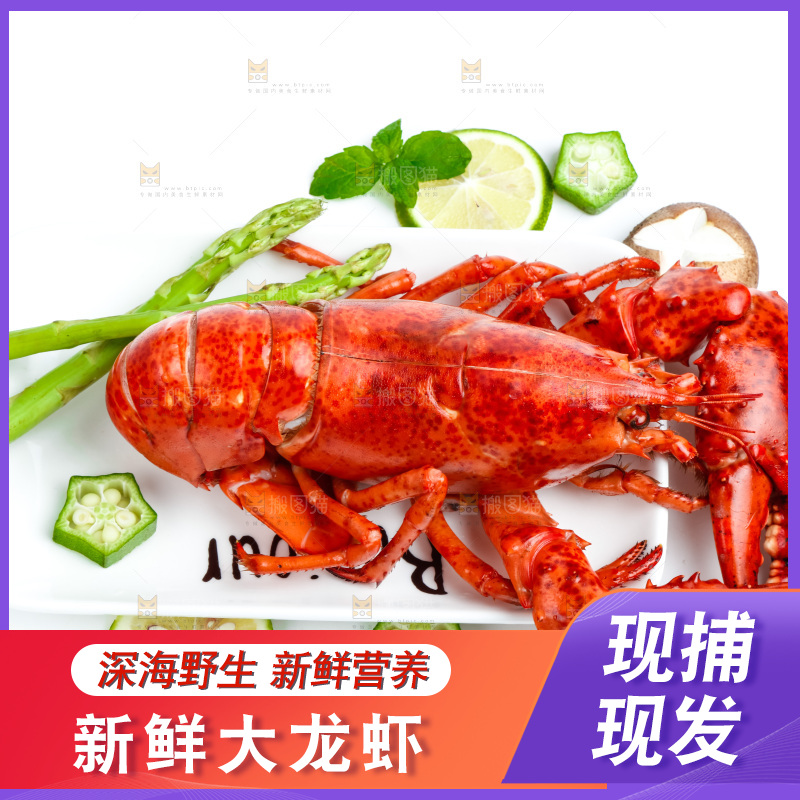 白底上放着一盘大龙虾