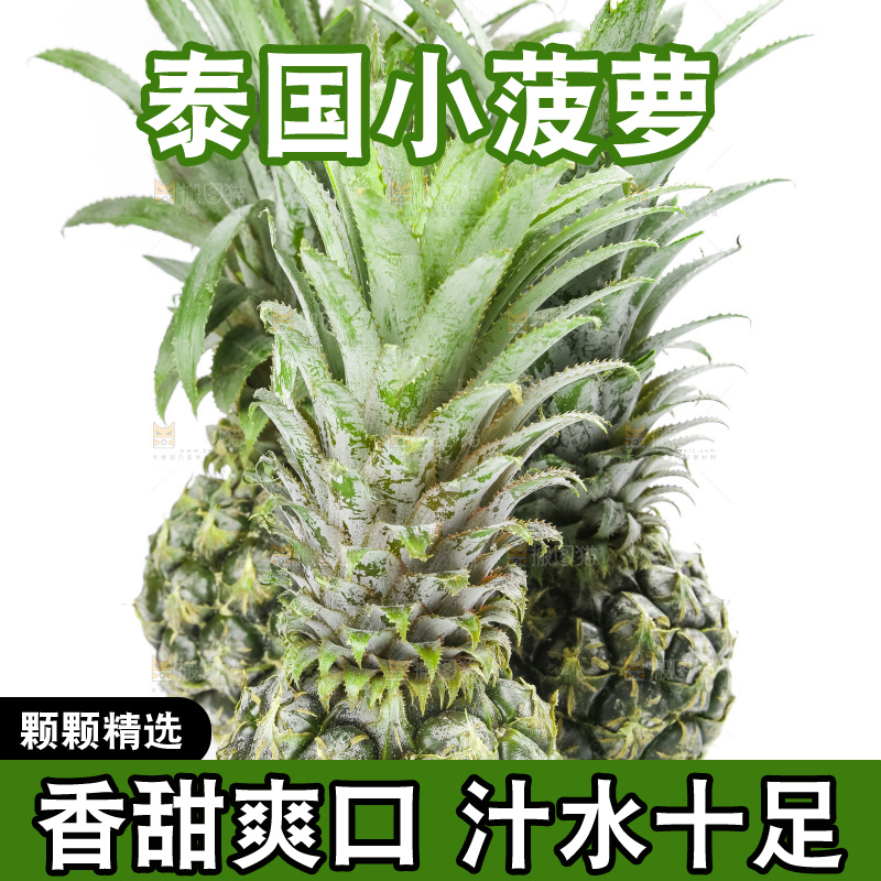 白底上放着泰国小菠萝