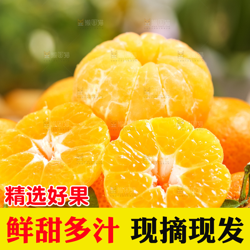 篮子里装着广西砂糖橘