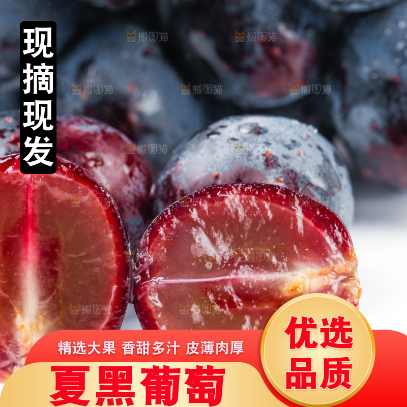 白底上的夏黑葡萄