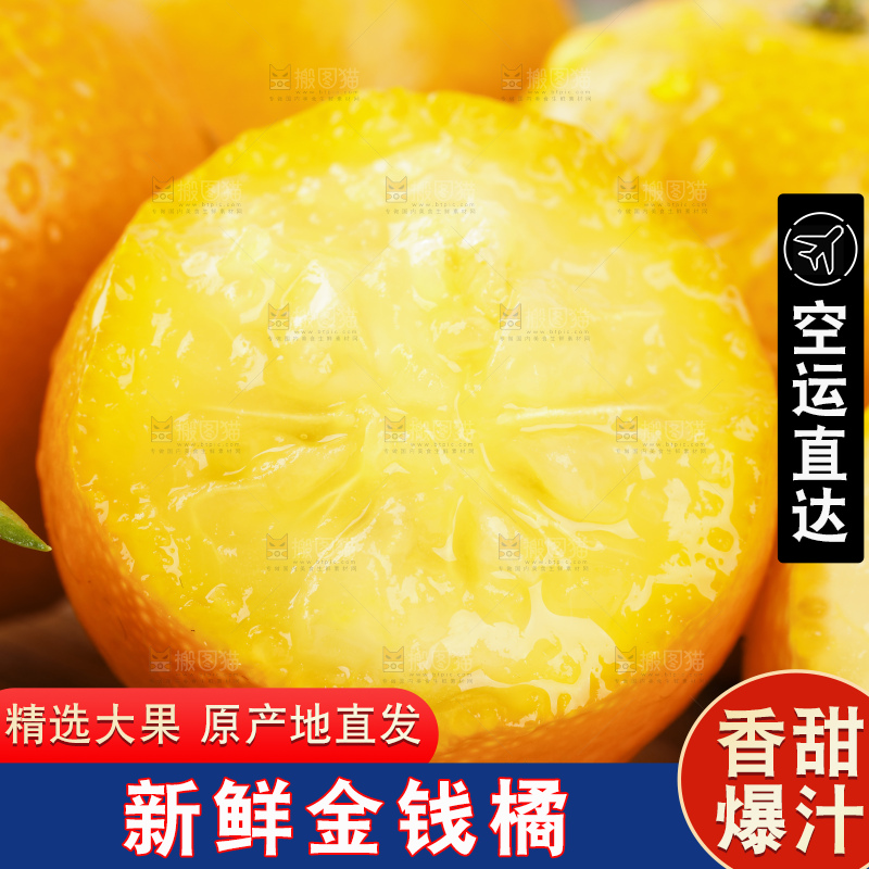 黑石板上的广西金钱橘