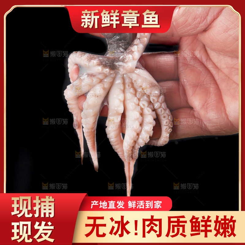 深底上的章鱼