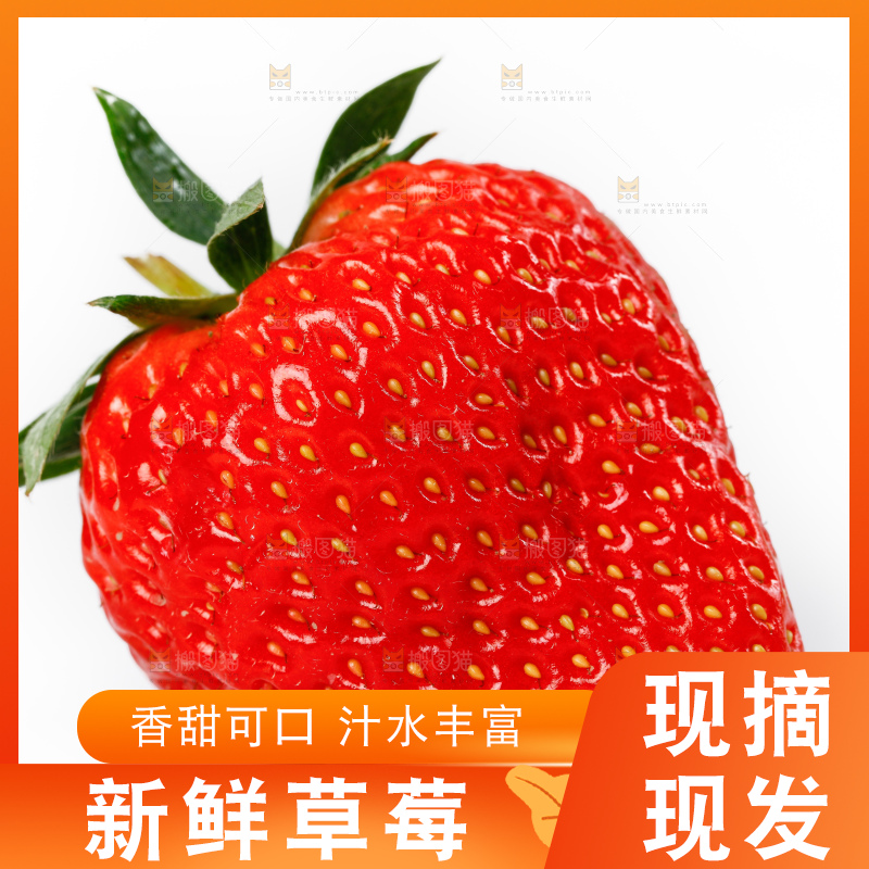 白底上一个大草莓