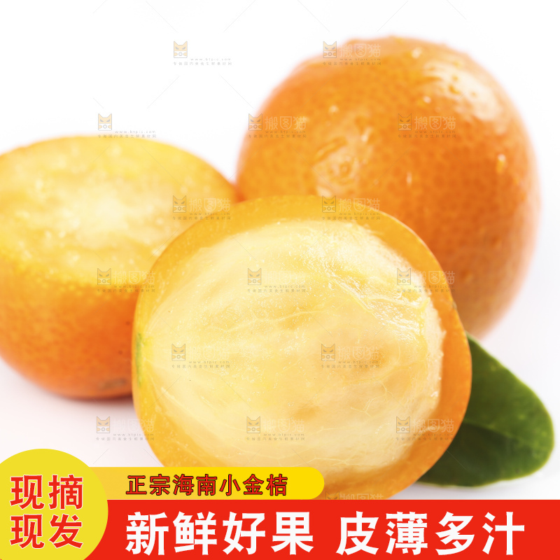 白底上摆放着新鲜金橘