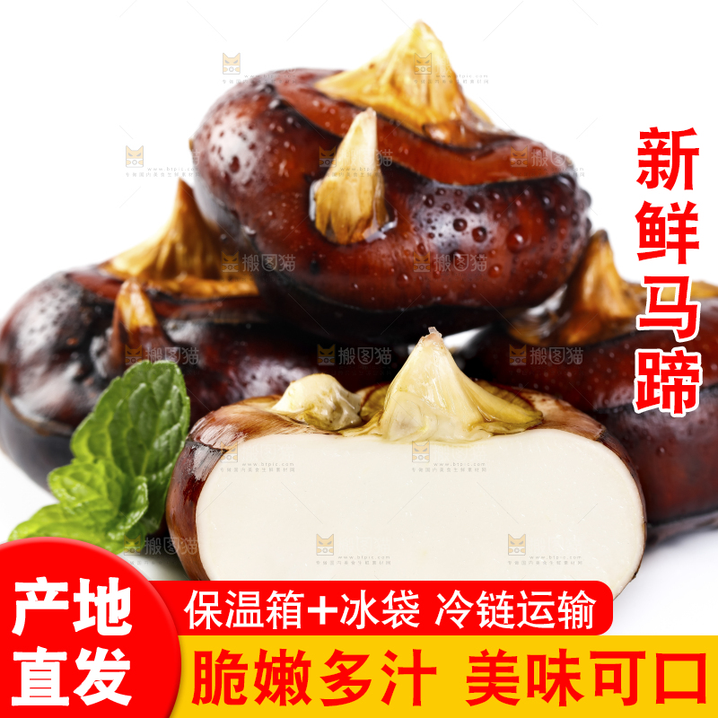 白底上放着广西马蹄
