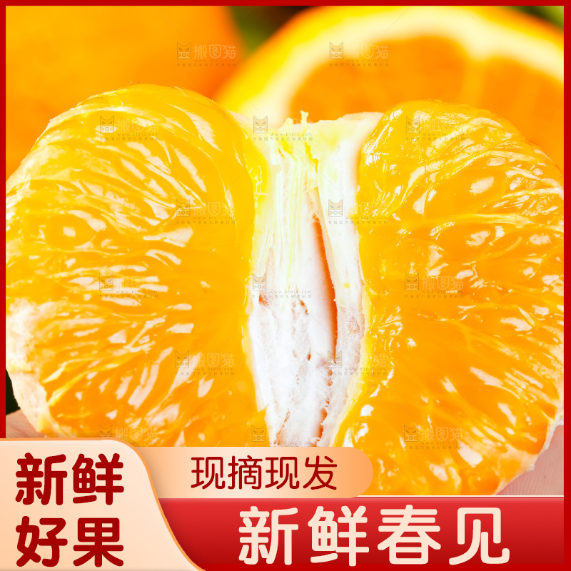 手里拿着新鲜春见