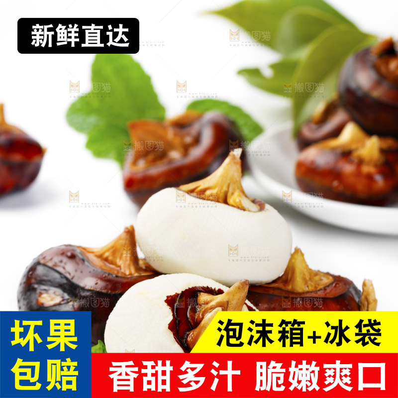 白底上放着广西马蹄