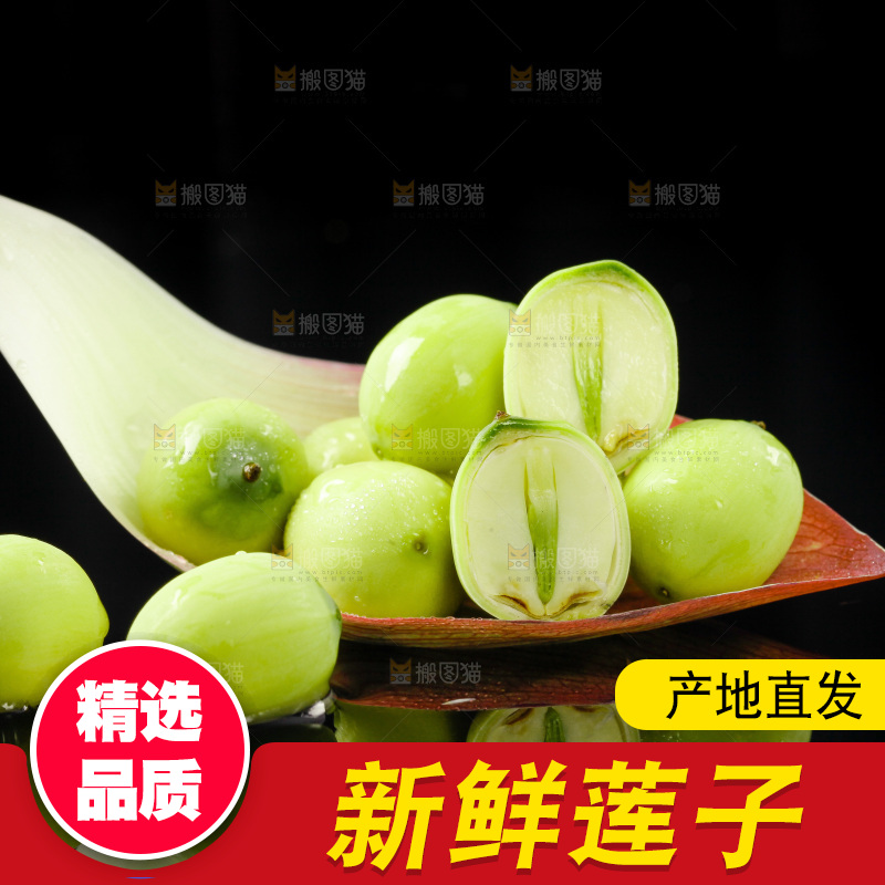 黑底上放着新鲜莲子