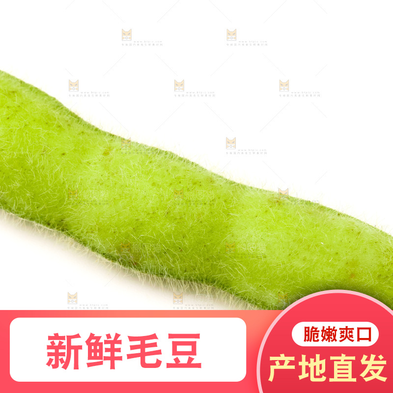 白底上的毛豆