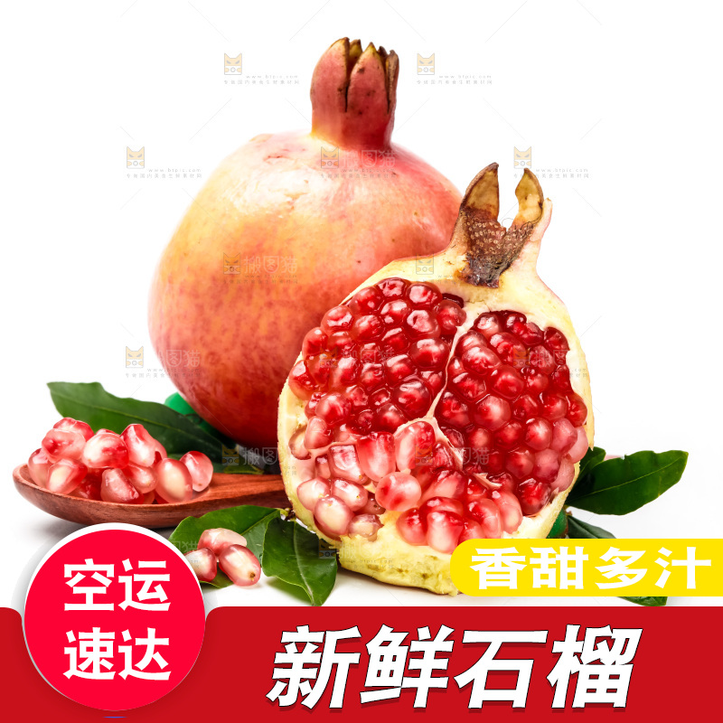 白底上放着软籽石榴