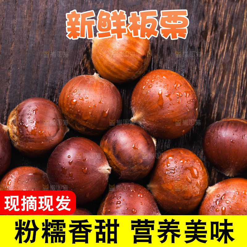 木底上的迁西板栗