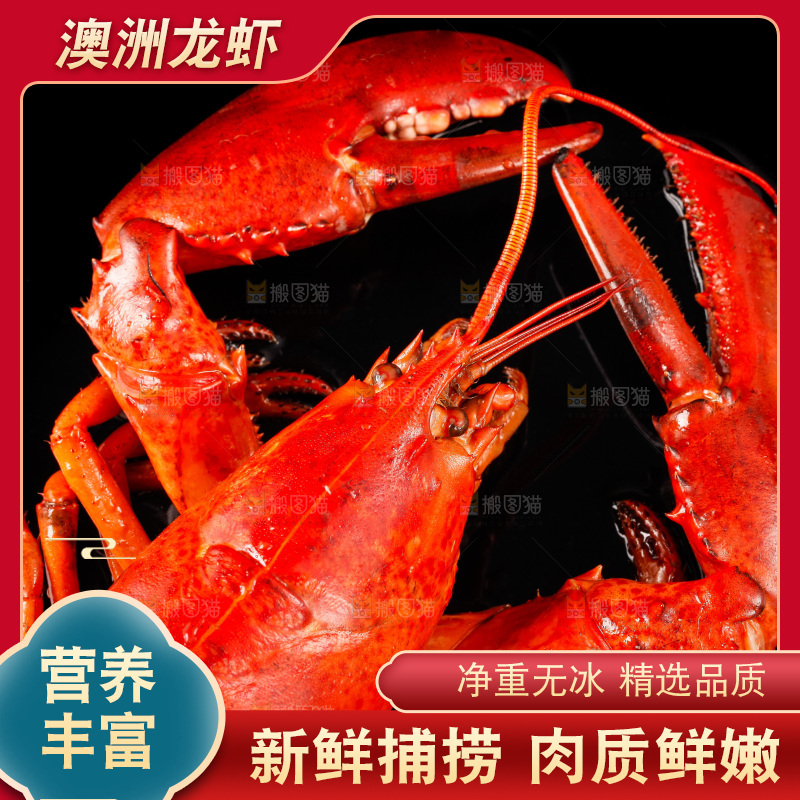 黑底上放着波士顿龙虾