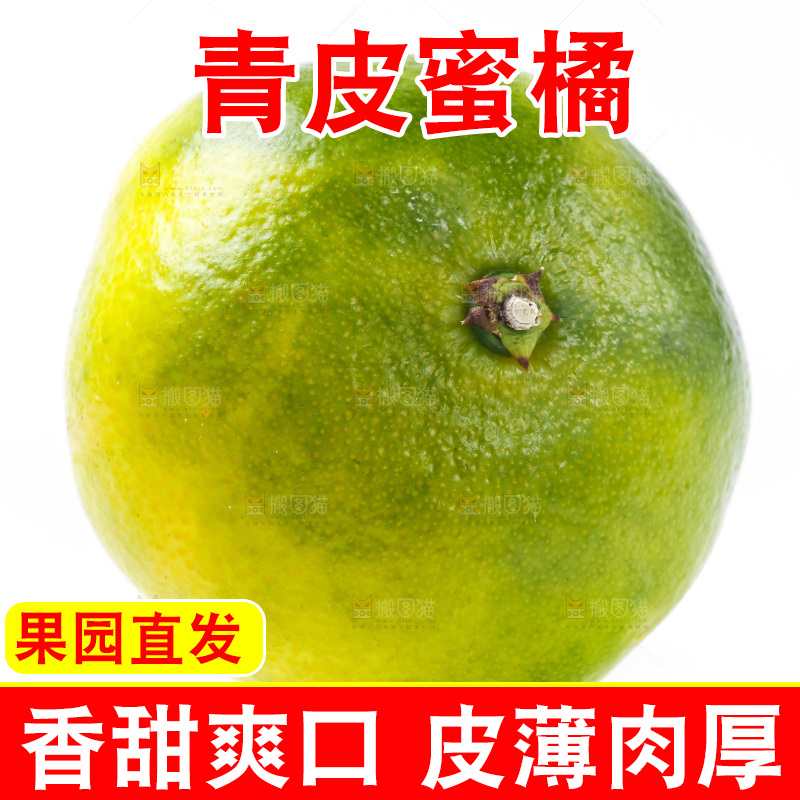 白底上的青皮蜜橘