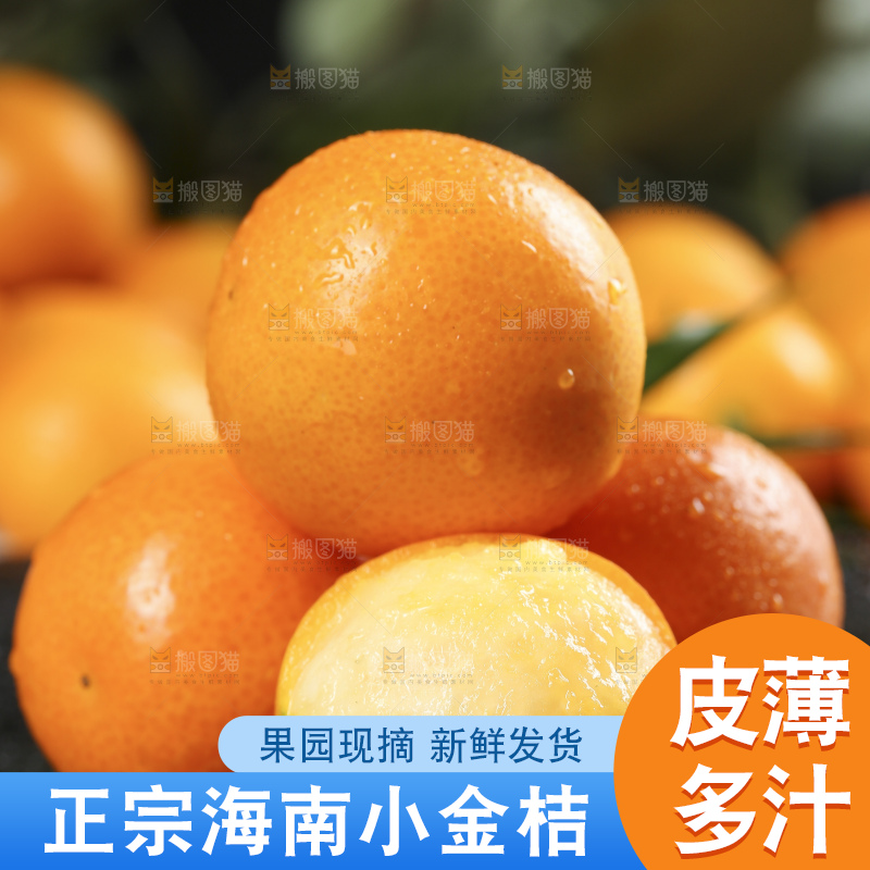 黑石板上的广西金钱橘