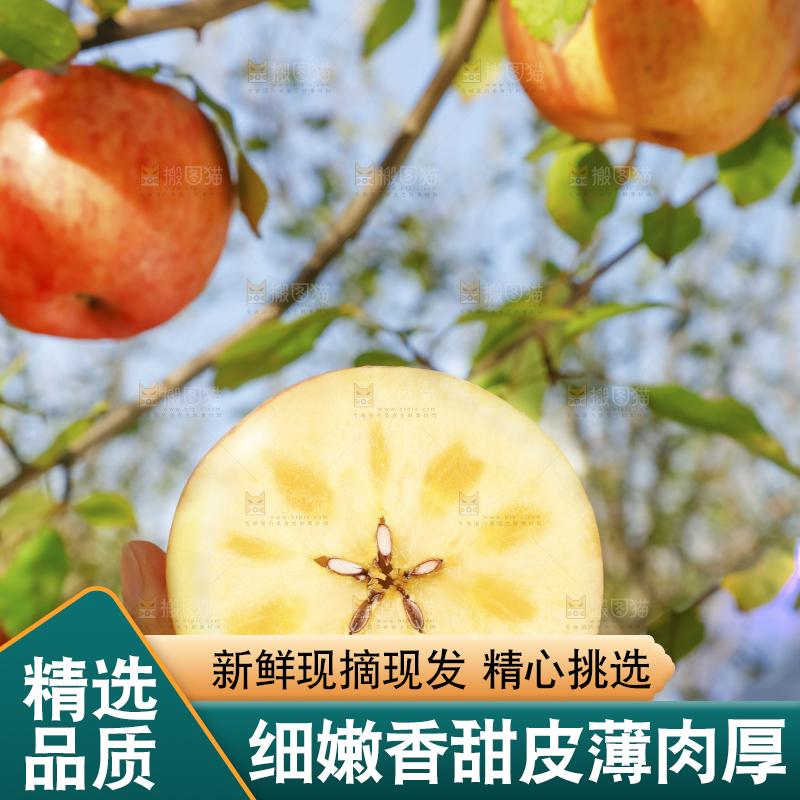 手里拿着阿克苏冰糖心苹果