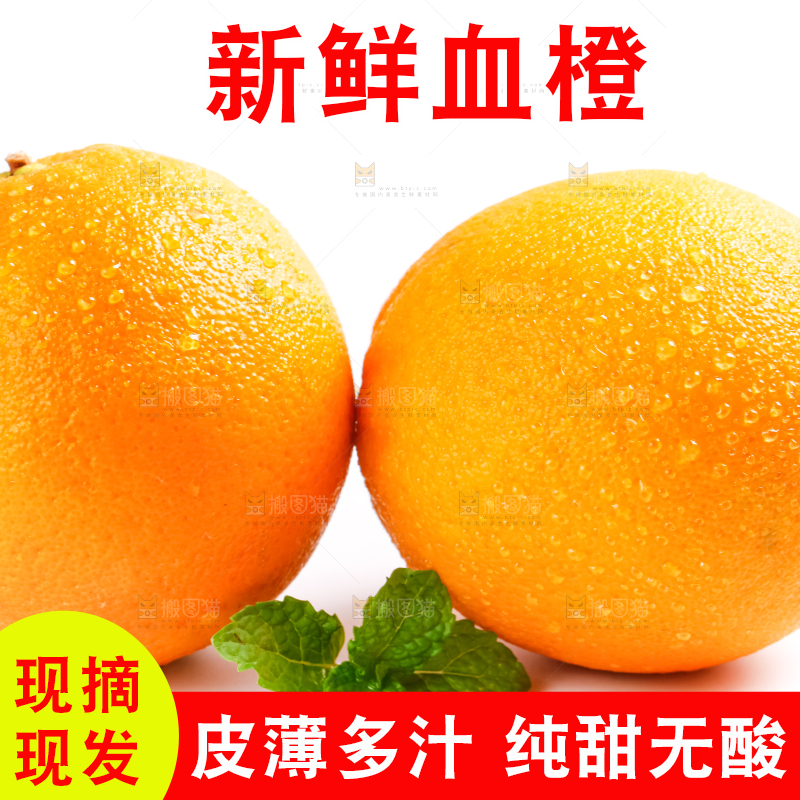 白底上的血橙