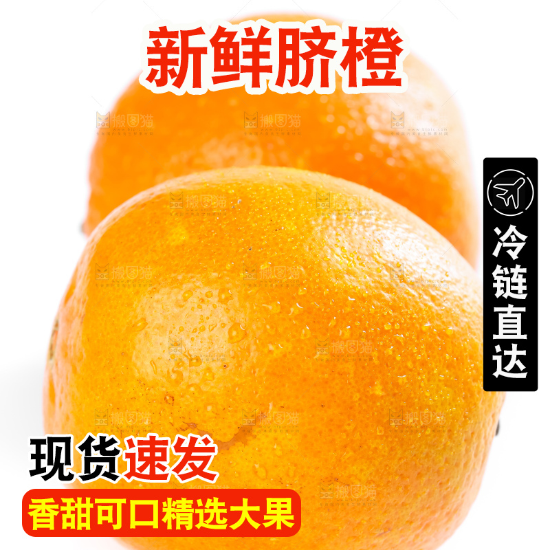 白底上的高山甜橙