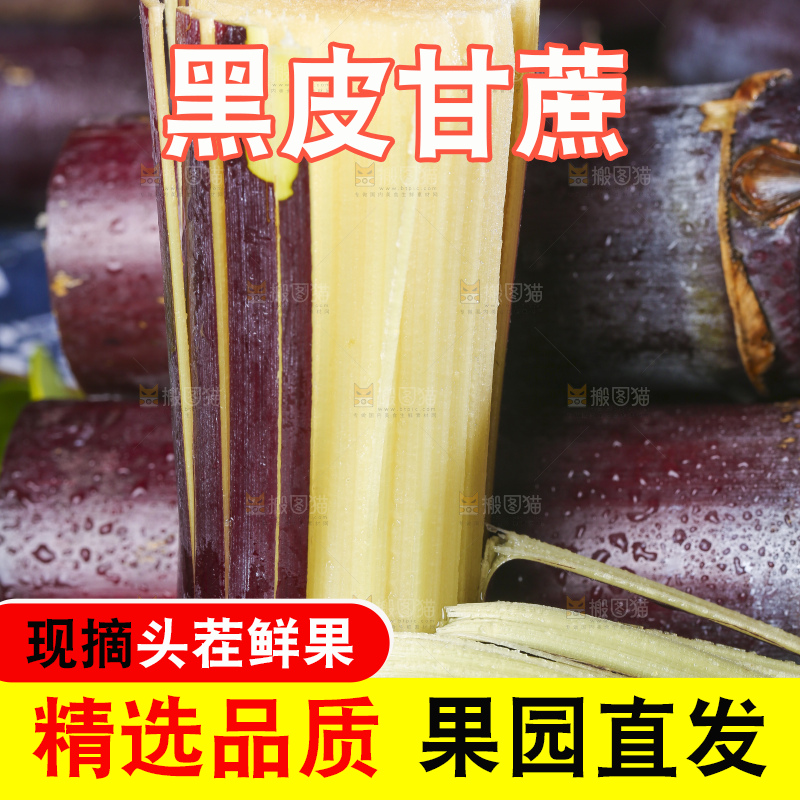 深底上的广西黑皮甘蔗