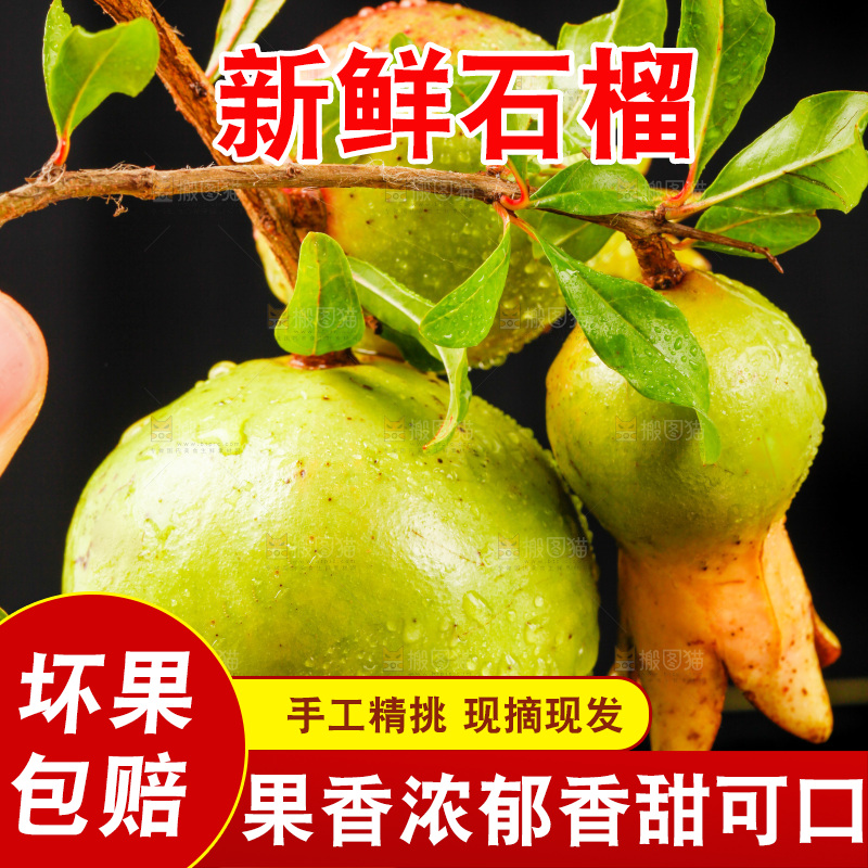 黑底上放着软籽石榴