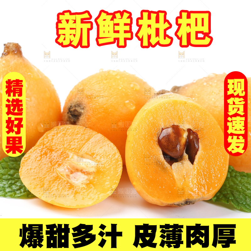 白底上的枇杷