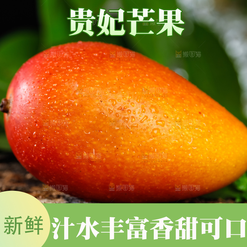 木底上的彩芒