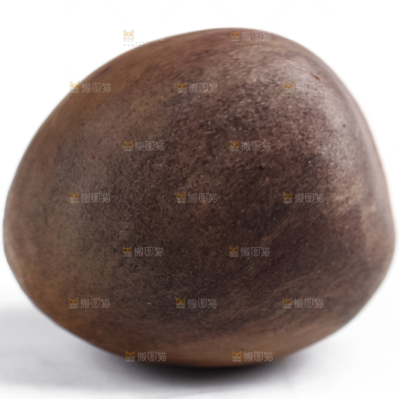 白底上摆放着茶树果