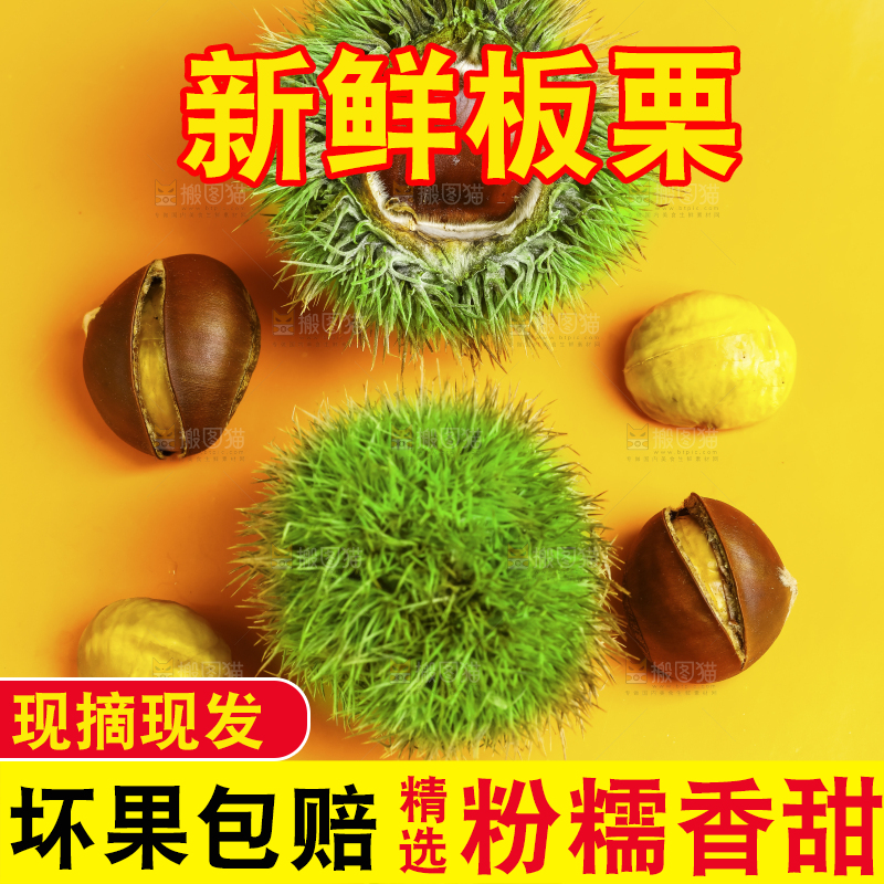 黄底上的迁西板栗