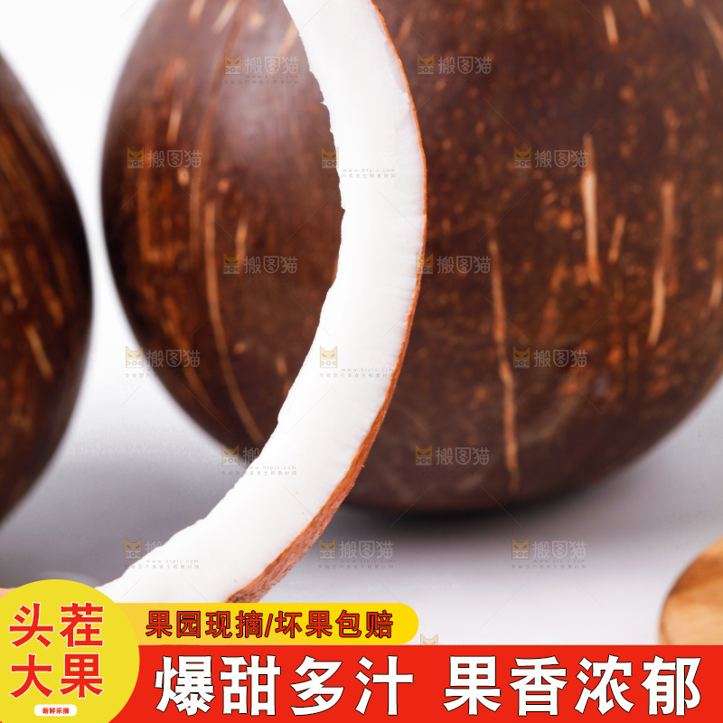 白底上放着老椰子