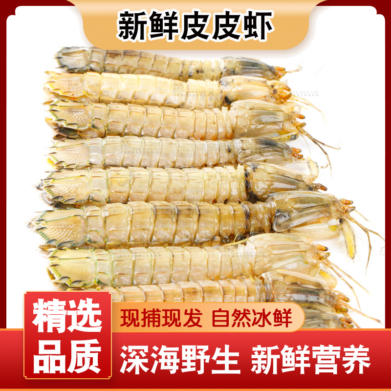 白底上的皮皮虾