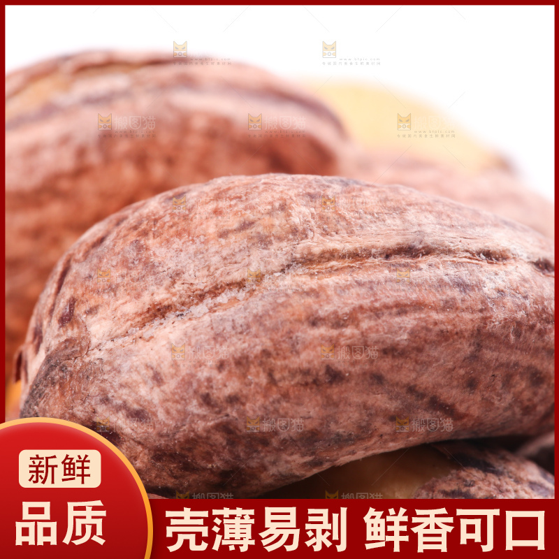 白底上的越南腰果