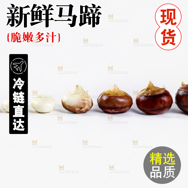 白底上的菩荠