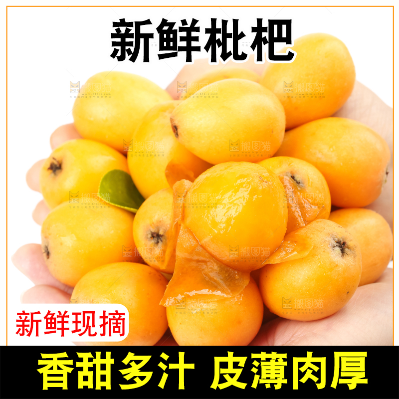 手里捧着云南蒙自枇杷