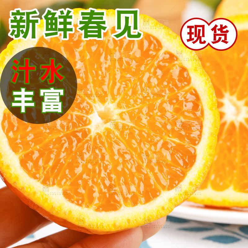 浅底上的春见耙耙柑