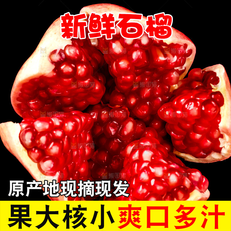 黑底上放着突尼斯软籽石榴