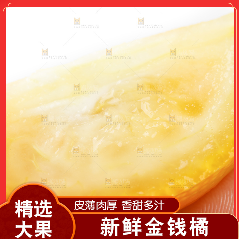白底上的金桔