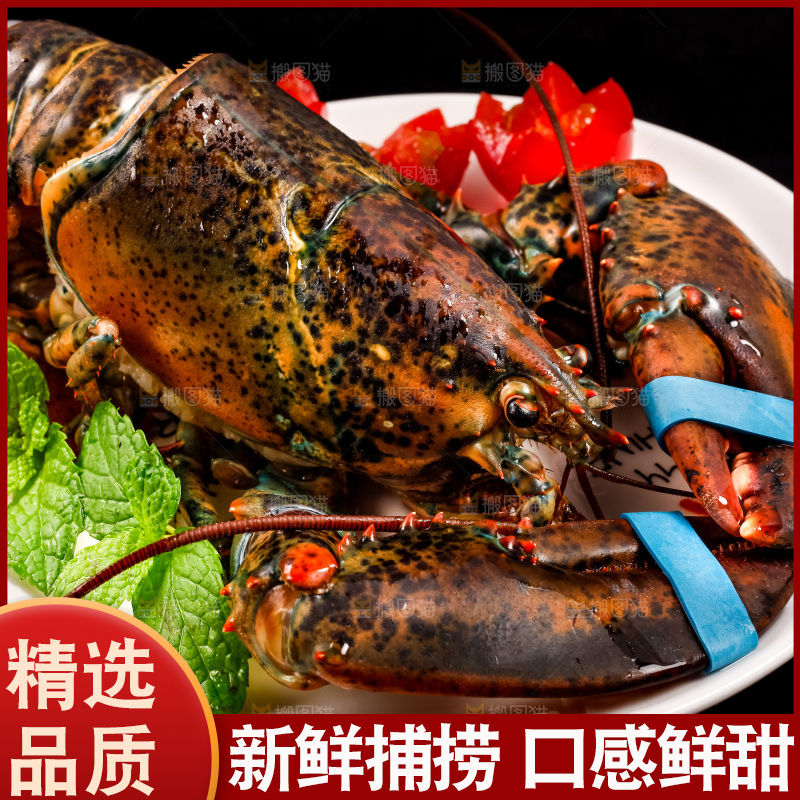 深底上放着澳洲龙虾