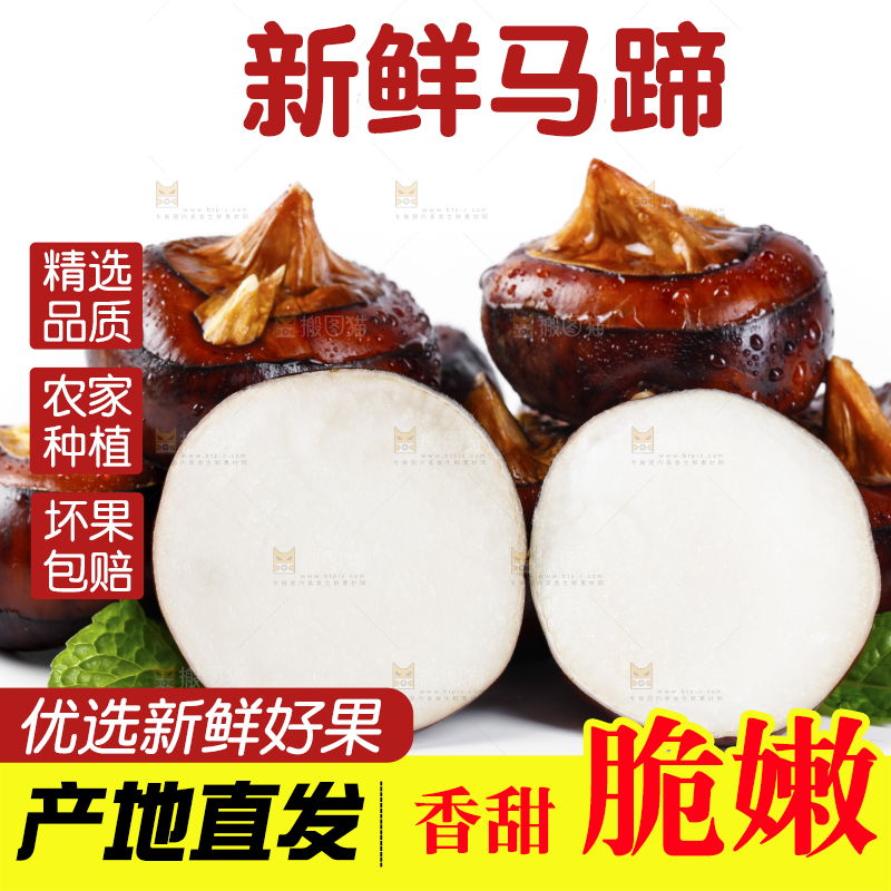 白底上放着广西马蹄