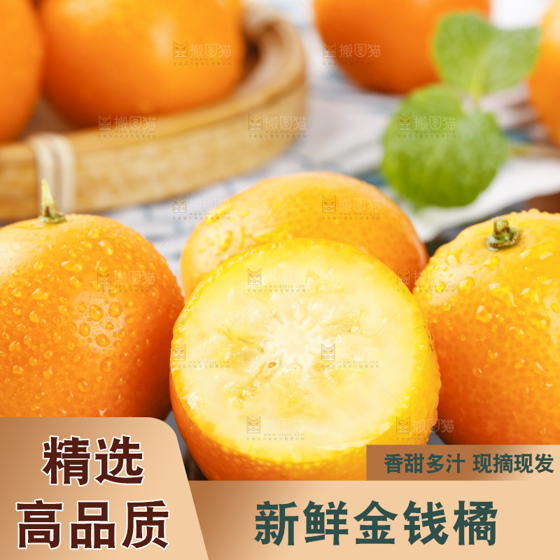 黑石板上的广西金钱橘