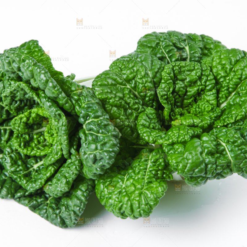 白底上放着奶油小白菜