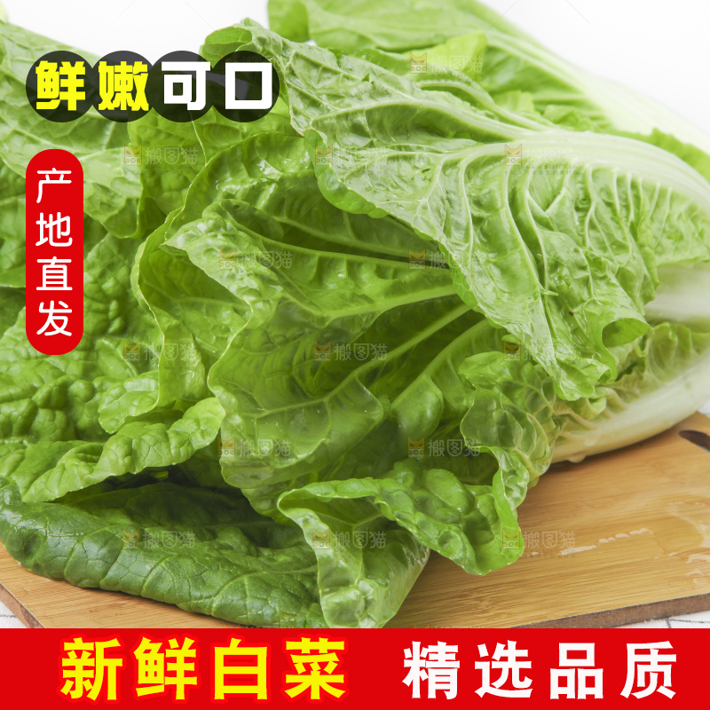 木板上的新鲜白菜