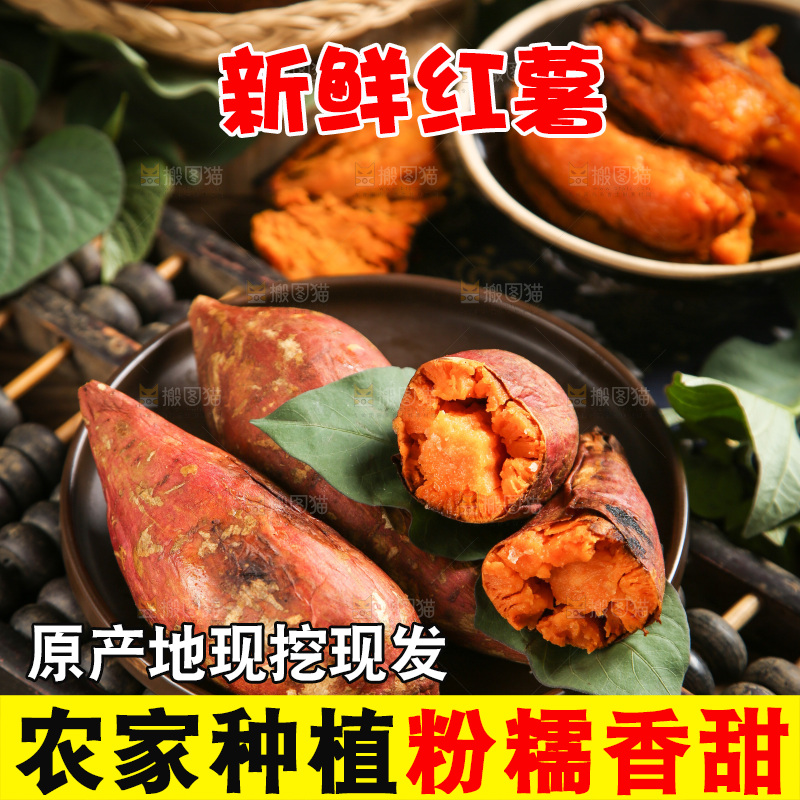 深底上的烟薯