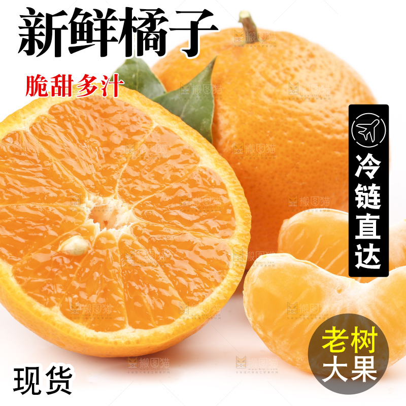 白底上的椪柑橘