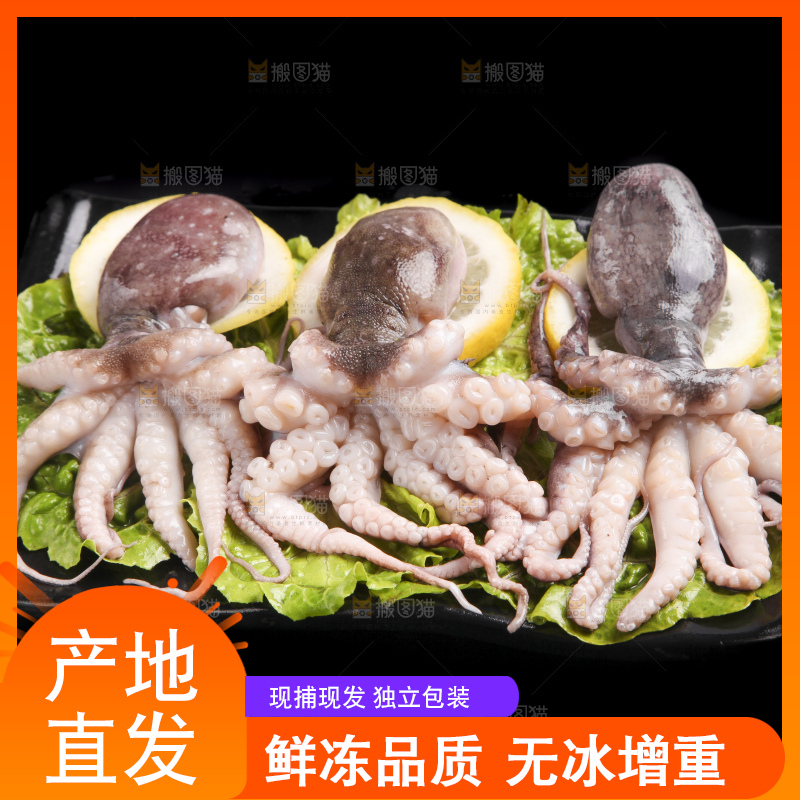黑底上的八爪鱼