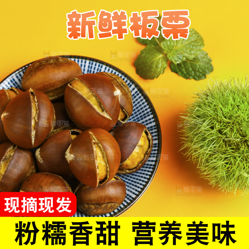 黄底上的迁西板栗